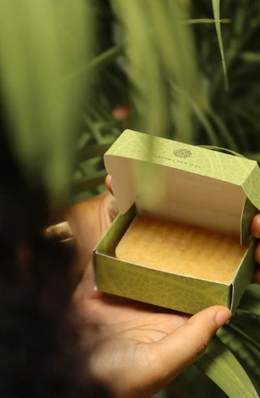 Shampooing solide à la Mangue – Nutrition & Eclat tropical